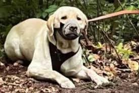 Angy heaven porn very kind GFE since the moment I walked