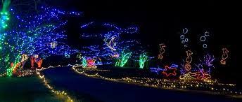 An Under The Sea Scene At Norfolk Botanical Garden Enjoyed This With Family During Our Eight Years In V Lighthouse Pictures Garden Of Lights Botanical Gardens