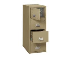 Acid & corrosive safety cabinets include: Safe In A File Cabinets Fireking Security Group