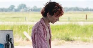 The prequel, like the 1971 film, is set to be inspired by roald dahl's 1964 novel, charlie and the chocolate factory but will feature a younger version of wonka than the one wilder played. Timothee Chalamet Dyed His Hair Red For Bones And All Movie