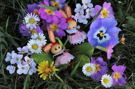 Jetzt ist es soweit wir nehmen die berühmtesten osterblumen mal genauer unter die lupe: Ostern Blumen Hase Kostenloses Foto Auf Pixabay