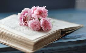 Infinita Beleza Leituras Pinterest Books Book Photography And Writer