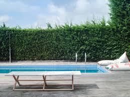 Maybe you would like to learn more about one of these? Dvelas Semper Fi Folding Daybed Couture Outdoor