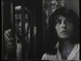 Last Chance for Life