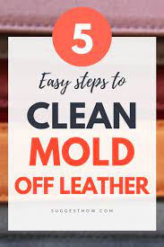 How To Clean Mold Off Leather 5 Steps To Follow Household Cleaning Tips Easy Cleaning Hacks Cleaning
