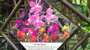 Things to do near national orchid garden. National Orchid Garden Singapore Botanic Gardens Youtube