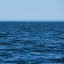 Brazil's MCTI Advances National Science and Innovation with Ocean Decade Plan Update and R&D Reporting Enhancements