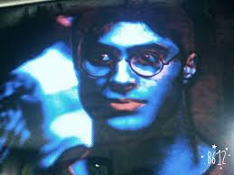 Harry Potter por siempre