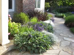 We did not find results for: Drought Tolerant Plant Northern Ca Houzz