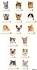 Cat Breeds | Purina