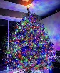 Check spelling or type a new query. Cute And Colorful Christmas Tree Decoration Ideas To Freshen Up Your Home 19 Colorful Christmas Tree Christmas Lights Outdoor Christmas Decorations