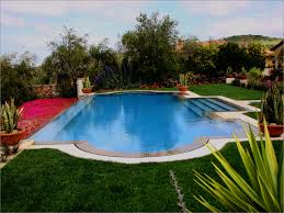 Container Plants Pool Ideas Photos Houzz