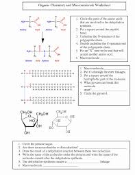 Organic Chemistry Worksheet With Answers New Organic Chemistry Worksheet Biological Science Picture In 2020 Chemistry Worksheets Science Biology Organic Chemistry