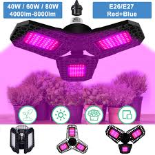 Succulents are fairly forgiving on this metric, and lights from 3,000k to 6,000k can support healthy growth. Myriann 108 126 144 Led Three Head Folding Plant Grow Light Panel Full Spectrum Reflector Greenhouse Lamp Grow Lights For Indoor Plants 108 Beads Walmart Com Walmart Com