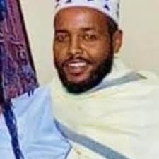 How to get rid of aphids