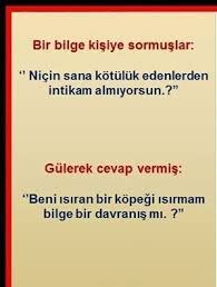 Bir Bilge Kisiye Sormuslar Nicin Sana Kotuluk Edenlerden Intikam Almiyorsun Gulerek Cevap Vermis Beni Isiran Bir Kopegi Isirmam Bilge B Goruntuler Ile Davranis Nice