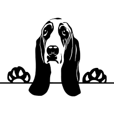 Black And White Basset Hound Puppy Basset Hound 8 Peeking Paws Dog Breed Pedigree Canine K 9 Etsy In 2020 Basset Hound Basset Cricut Animals