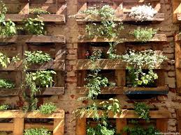 Palettenbepflanzung Bepflanzung Paletten Garten Pflanzen