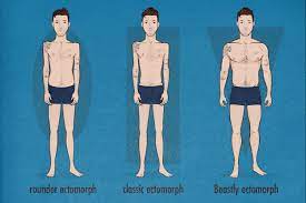Do your shoulders get smaller when you lose weight? How To Build Broader Shoulders For Skinny Guys Bony To Beastly