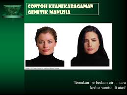 Keanekaragaman Hayati Ppt Download