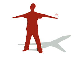Image result for fly logo