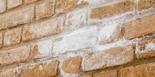 Typical efflorescence is white but can vary in color, including yellow or brown, depending on the salt and accompanying chemicals. Efflorescence Sandberg