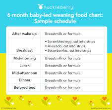 Baby Led Weaning A Complete Guide To First Foods Huckleberry