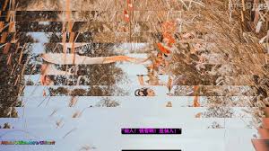 仙媳攻略- 禁漫天堂的情色小說合集Best adult videos and photos