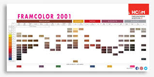 Framesi Color Chart Sbiroregon Org