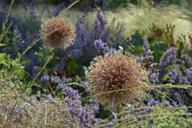 Botanischer Garten Dusseldorf