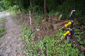Electric fences emit an extremely short electric pulse that is harmless for animals and people of all ages, but will get your attention. Electric Fence Wikiwand