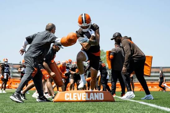 Cleveland Browns | Berea OH