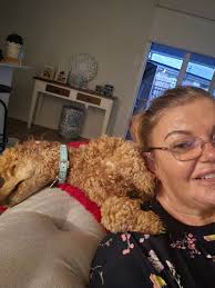 The most comfortable spot in the house apparently