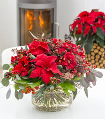 The heaviest browsing by deer will occur from october through february. The Truth About Poinsettia 10 Myths Exposed