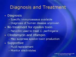 In clostridial infection enterotoxins produced by c. Epsilon Toxin Of Clostridium Perfringens B And D