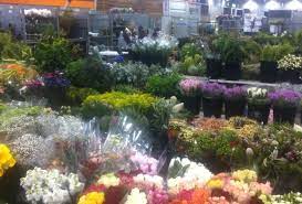 Featuring over 400 beautiful bouquets and floral. Melbourne Wholesale Flower Market Tour
