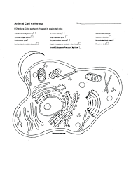 Animal Cells Coloring Worksheet Lovely Nerve Cells Coloring Dracosheet In 2020 Plant And Animal Cells Cells Worksheet Animal Cells Worksheet