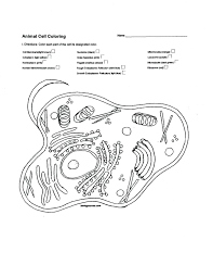 Intro biology classes have unique challenges for me, one of which being that they don't have a textbook. Animal And Plant Cell Coloring Pages Coloring Home
