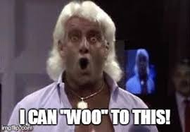 Aug 17, 2012 · ric. I Can Woo To This Professional Wrestling Know Your Meme