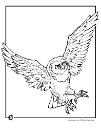 Weather is a dominant factor for hunters. Hunting Owl Coloring Page Woo Jr Kids Activities