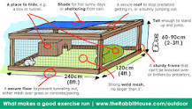 Choosing a Rabbit Run - The Rabbit House
