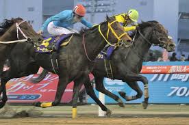 三溪記念館と旧矢箆原家住宅（合掌造り）再開のお知らせ notice on reopening of sankei memorial and former yanohara family residence. 17å¹´å·å´Žè¨˜å¿µã®è¦‡è€…ã‚ªãƒ¼ãƒ«ãƒ–ãƒ©ãƒƒã‚·ãƒ¥å¼•é€€ã—ã¦ä¹—é¦¬ã« ã‚µãƒ©ãƒ–ãƒ¬ãƒƒãƒ‰ã‚ªãƒ¼ã‚¯ã‚·ãƒ§ãƒ³ ä¸Šå ´ã¯è¦‹é€ã‚Š ã‚¹ãƒãƒ‹ãƒ Sponichi Annex ã‚®ãƒ£ãƒ³ãƒ–ãƒ«