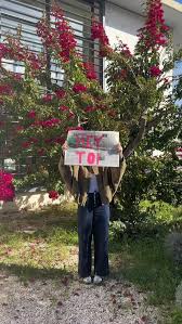 Image result for tbn:ZmxTz4tzjnsxqM::www.berceaumagique.com/produits/b/b_ange-sanguine-6f.gif