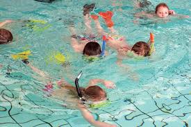 Vervolgdiploma S Snorkelen Zwembad De Waterdam