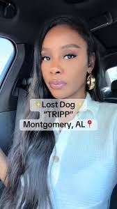 Help Find My Lost Dog Trip in Montgomery, AL