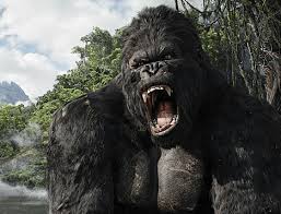Films featuring kong over the years are currently owned by. King Kong Simifilm Ch Simifilm Ch