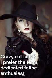 Pin By Sue Von Samorzewski On Me Just Simply Me Crazy Cats Crazy Cat People Cat Lady Quote