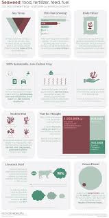 How Kelp And Seaweed Can Help Save The World Information Is Beautiful Seaweed Edible Seaweed Kelp