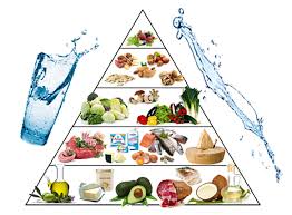 Un Cambio Di Visione Dall Avversione Per I Grassi Al Regime Low Carb High Fat Eupraxia