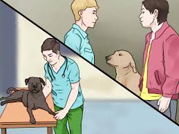 Maybe you would like to learn more about one of these? How To Punish A Dog 11 Steps With Pictures Wikihow